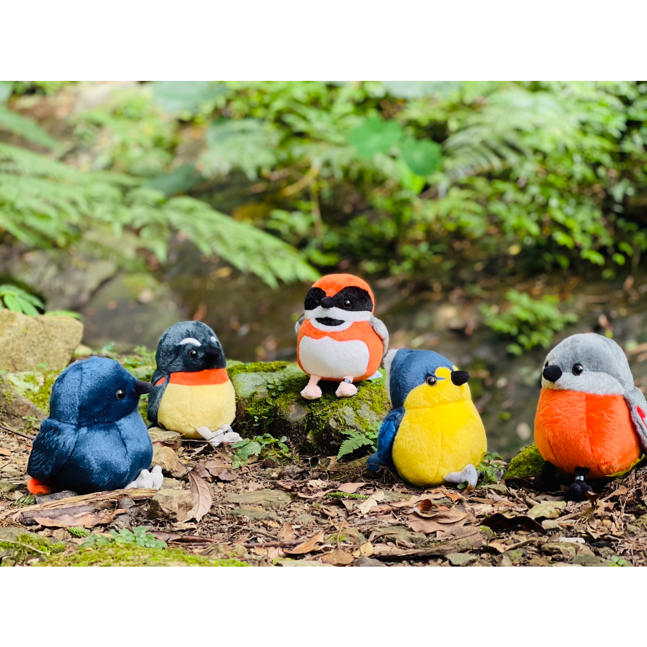 2025森林市集｜森林萬花筒