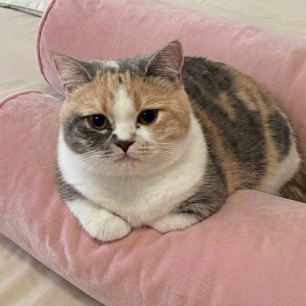 Bigorange Redirecting...