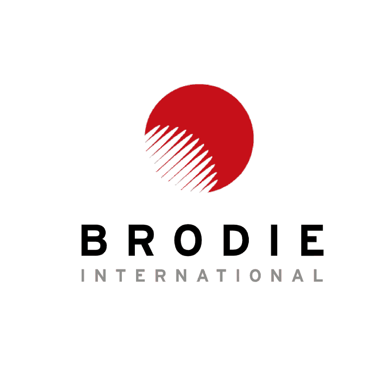 貝鑫科技 美國 BRODIE