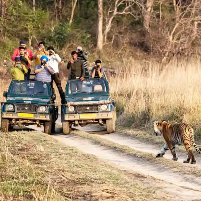 Delhi to Jim Corbett Nainital