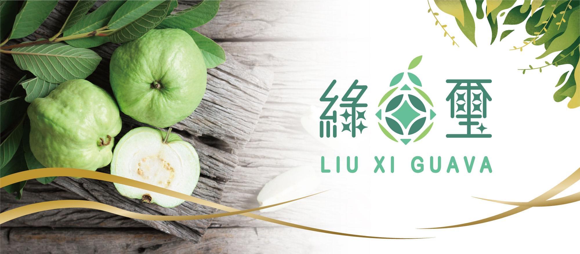 綠璽芭樂｜水果禮盒｜團購零售 來自彰化縣濁水溪孕育出來的在地芭樂，在地小農自產自銷，當天新鮮採摘，當日配送，點LINE加官方好友訂購。
