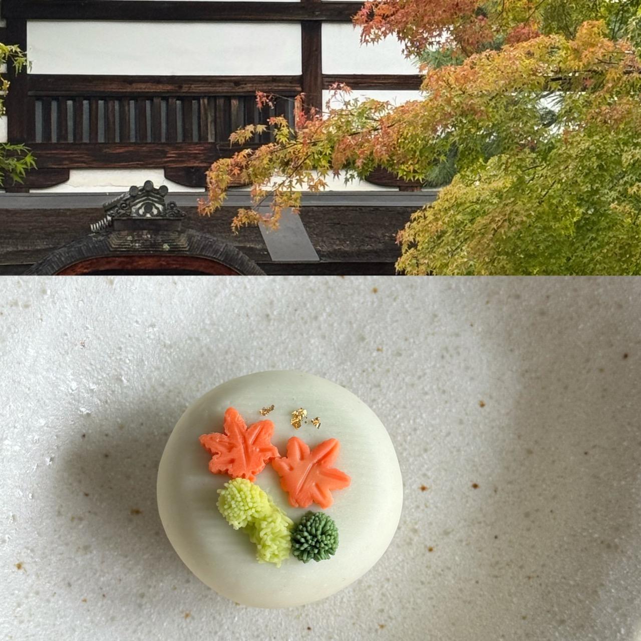 New You 沙龍・皂・手作