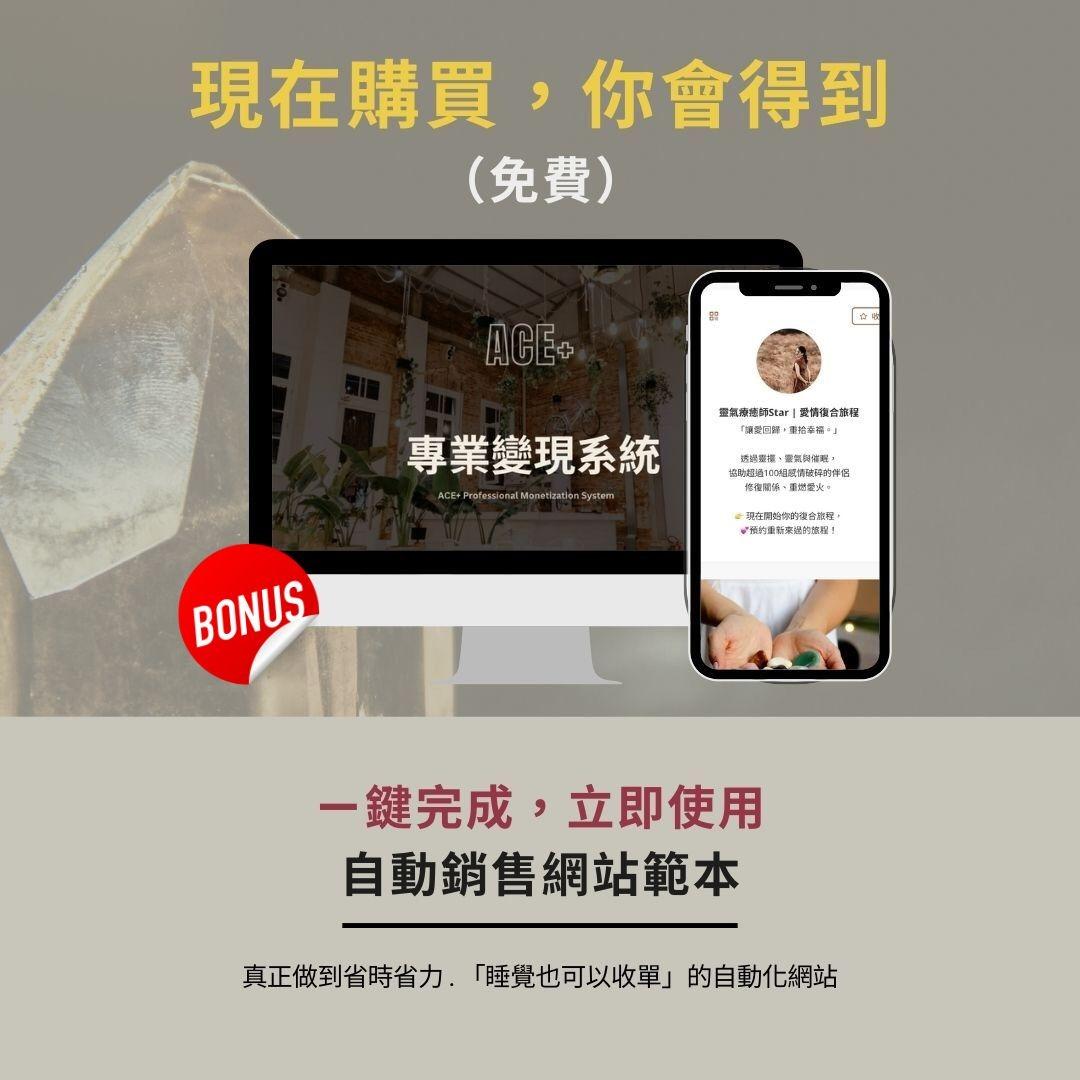 ACE專業變現系統