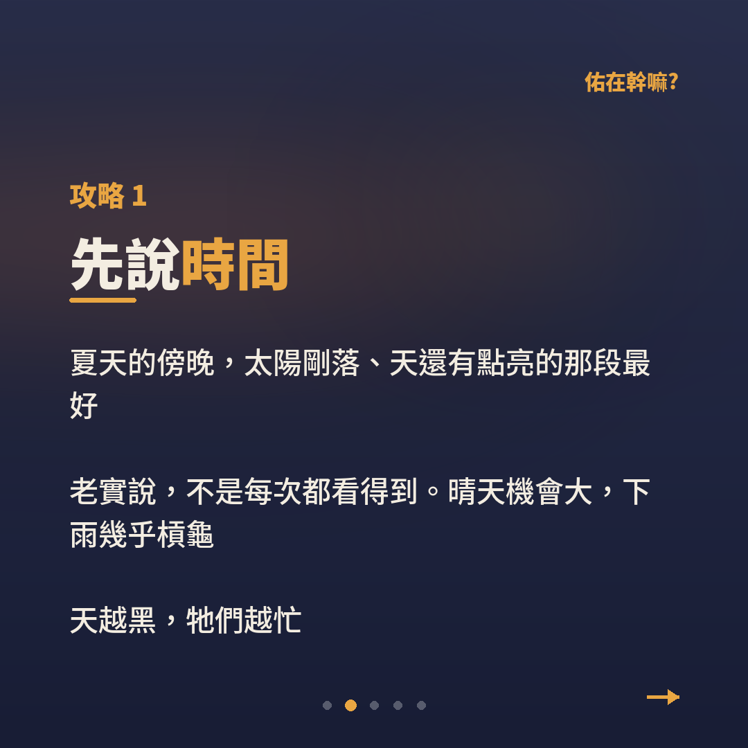 陳則佑｜佑在幹嘛