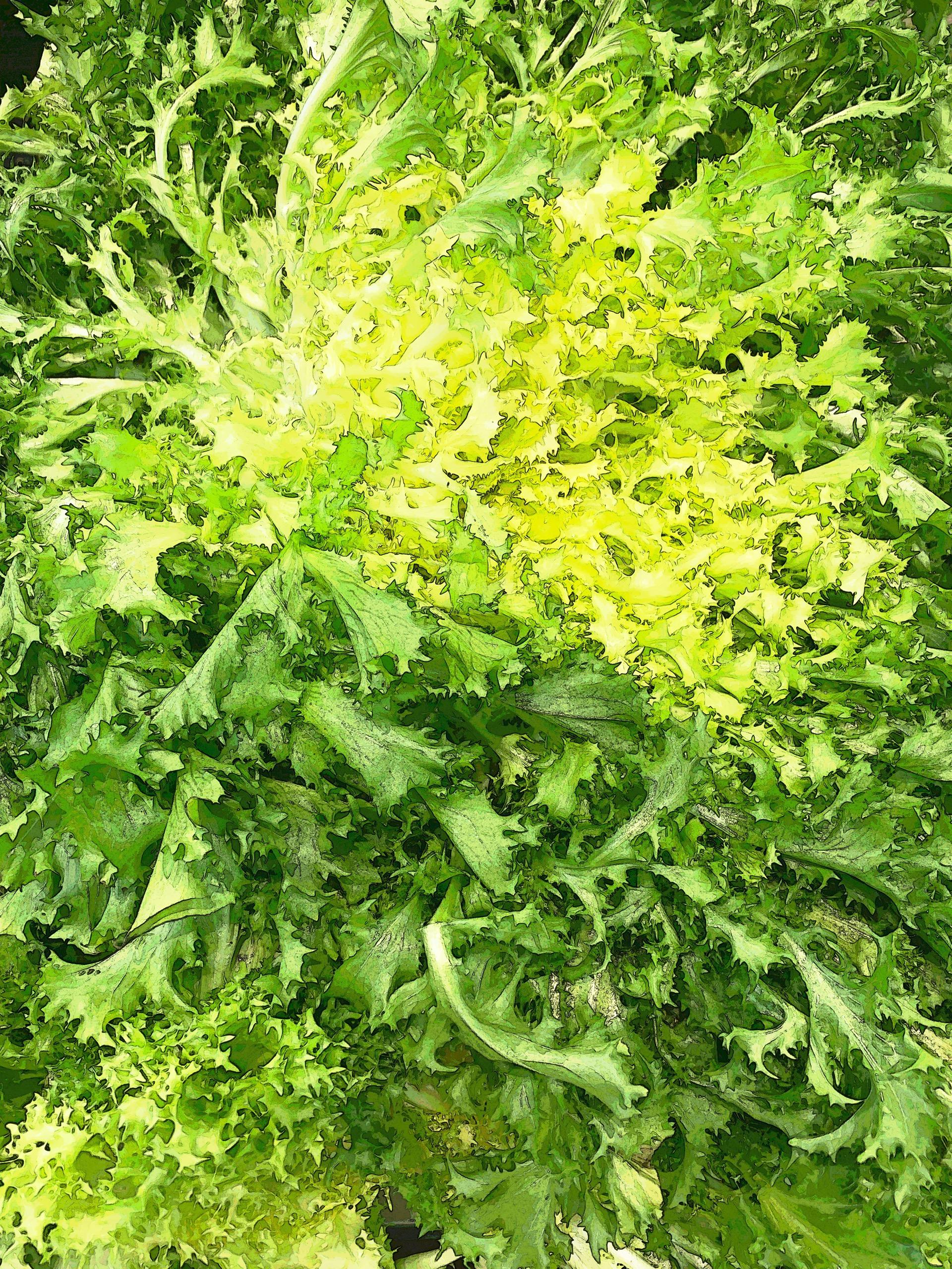 森活市，法芙頌即溶菊苣粉