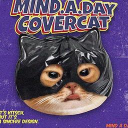 ⁺◟ 歡迎成為小Light打 ⁺◟♡² teteum