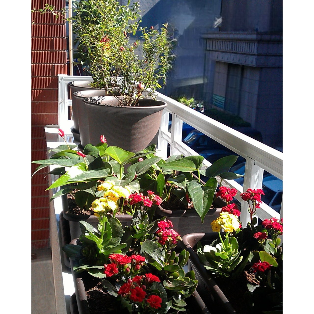 全台灣身心靈地圖