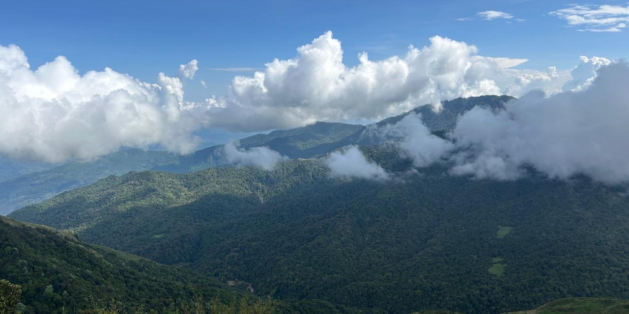 「Gallup 天賦教練」