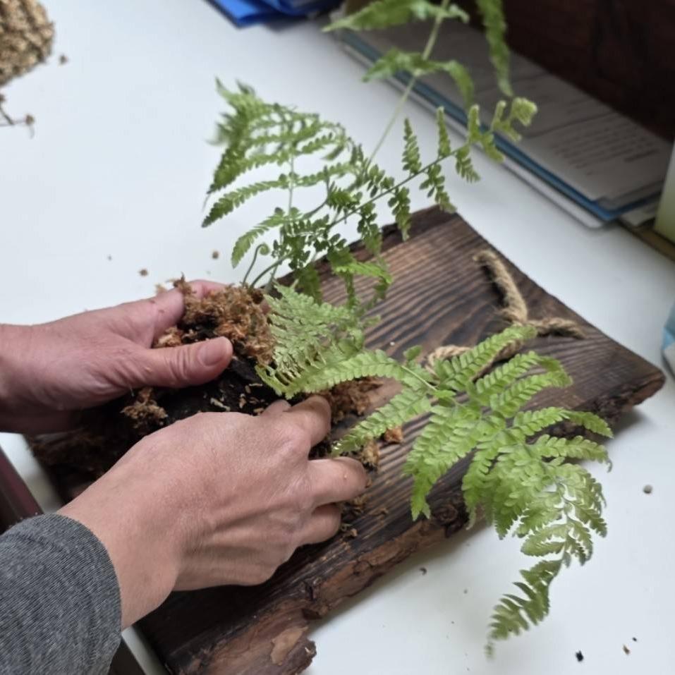 2026森林市集｜森林時光機