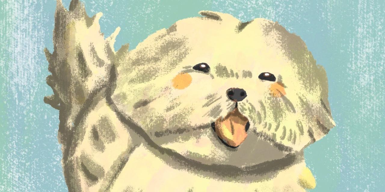 LittleKwee 插畫、2D動畫教學 | 接案授權知識 | 繪畫好物推薦