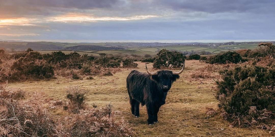 De Ce Jour De Ce Jour