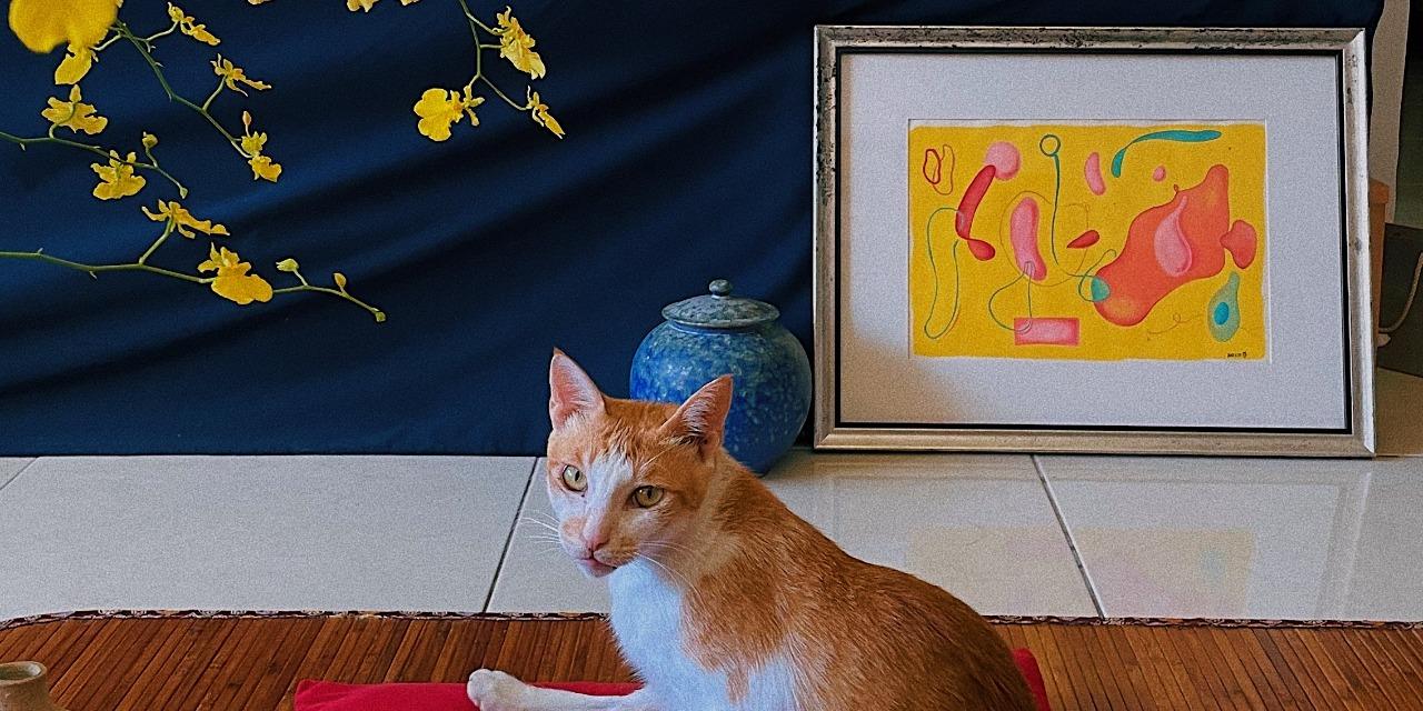 心癒之丘 Healing Hill 現在就來預約專屬的身心靈體驗吧！🥰 （3-4人成班）