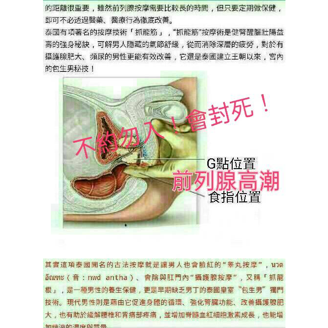 抓龍筋 男士私密養護（北中南）