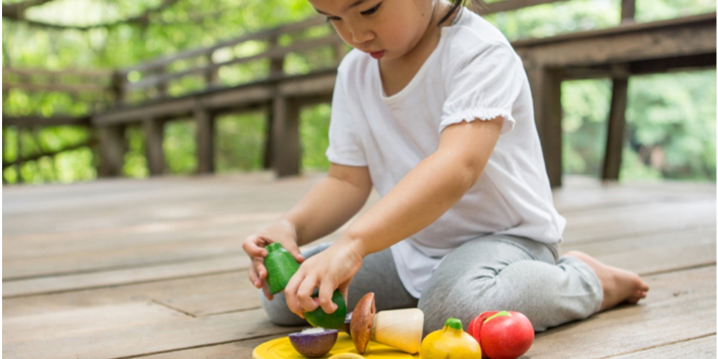 豬豬隊友 Scott & Wendy Plantoys 無毒木玩具｜12/10 結團