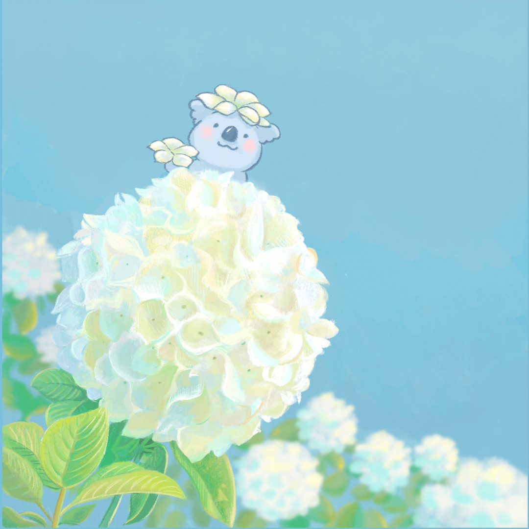 繡球花無尾熊