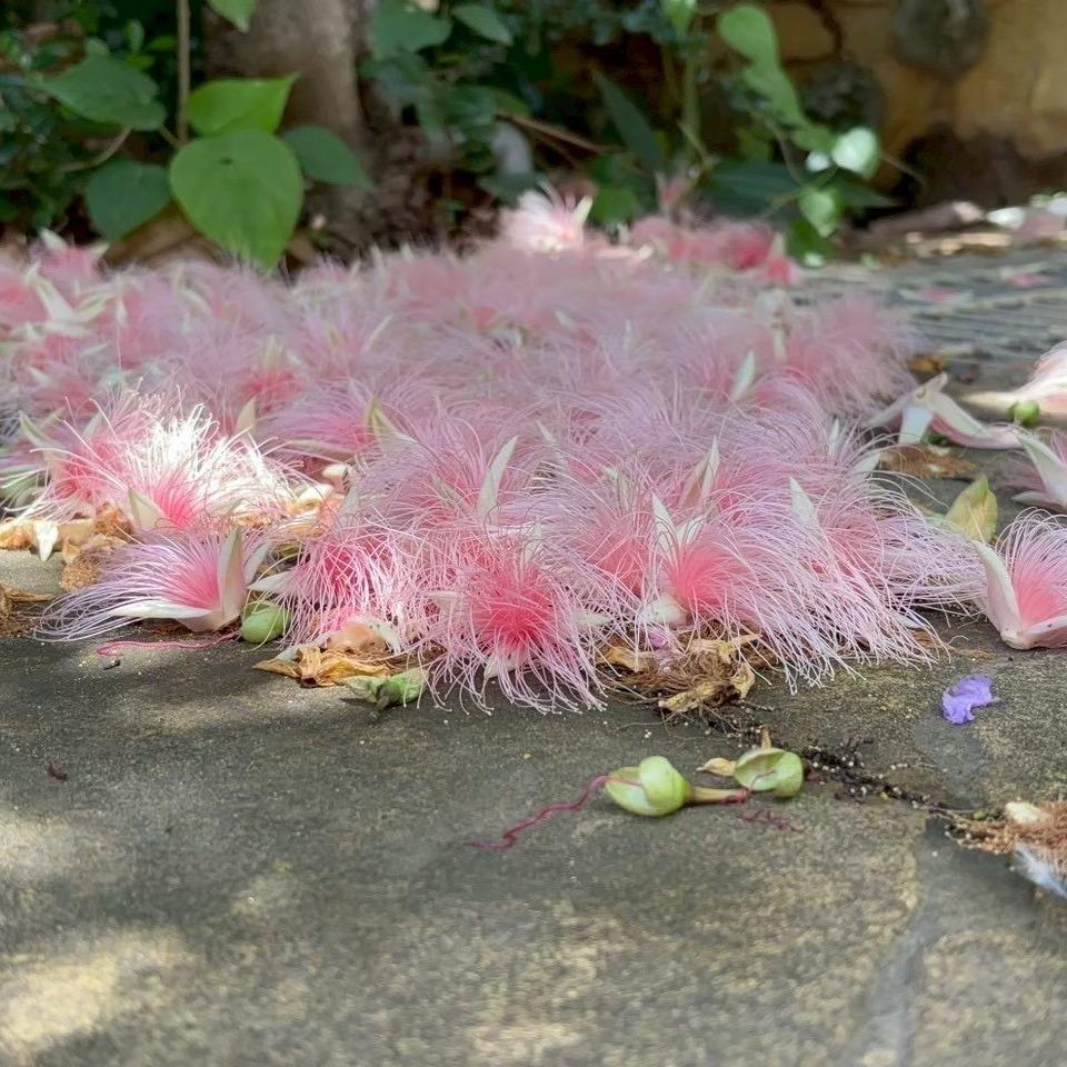 JUST RIGHT INN 恰好Just Right Inn周邊剪影