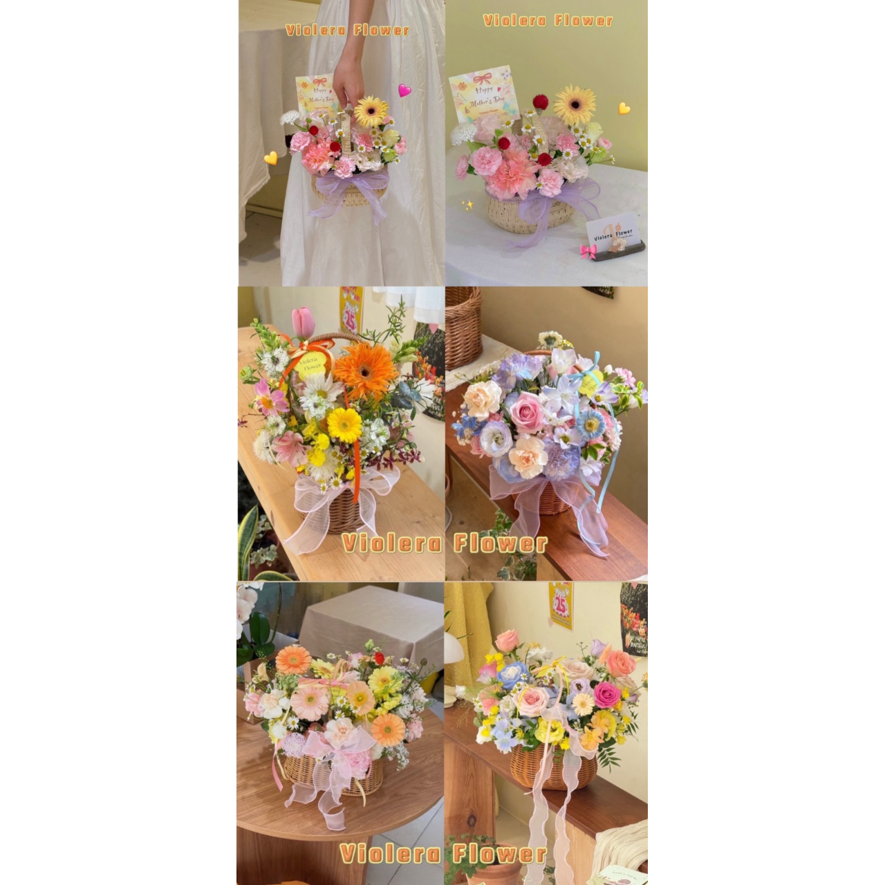 𝙑𝙄𝙊𝙇𝙀𝙍𝘼 𝙁𝙇𝙊𝙒𝙀𝙍