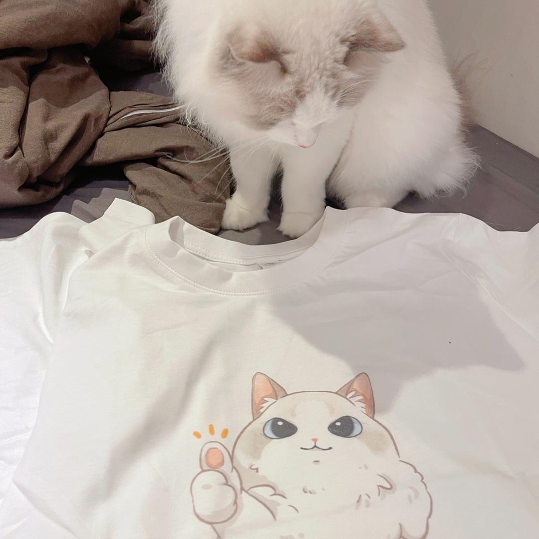 tsuitsui_ragdoll 衣服