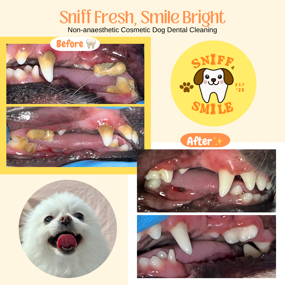Sniff & Smile Age : 4