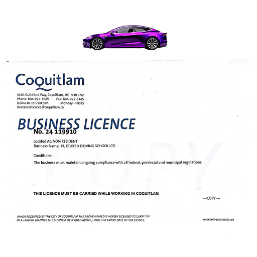 Future X Driving Academy
