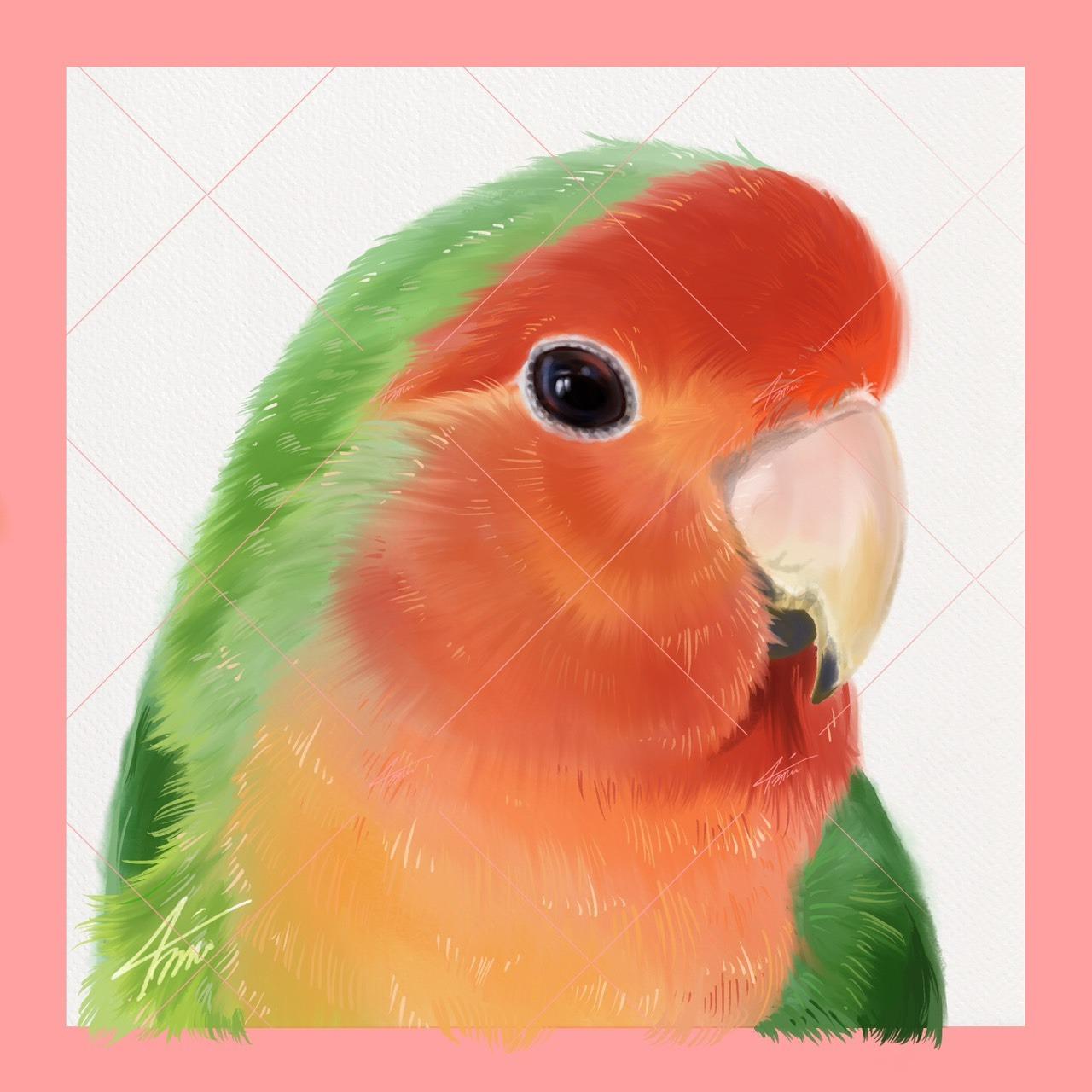 戴圍兜兜的貓 מּ ≋𝒞𝓵𝓪𝓾𝓭𝓲𝓪 𝓛𝓲𝓷 ৲ 4𝓶𝓾 ≋ 2048x2048，300dpi，RGB