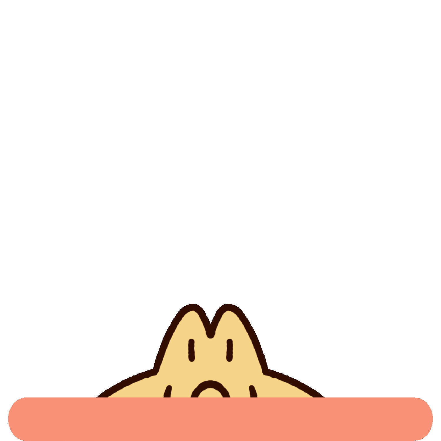 十九貓