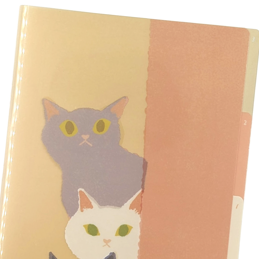 ZenPop Japan RYURYU 3 Pockets Clear Folder A5 - mula series