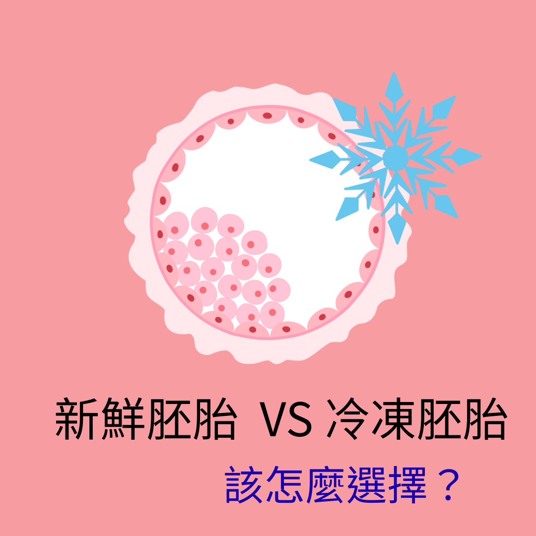女性醫學*子晴醫師 冷凍胚胎