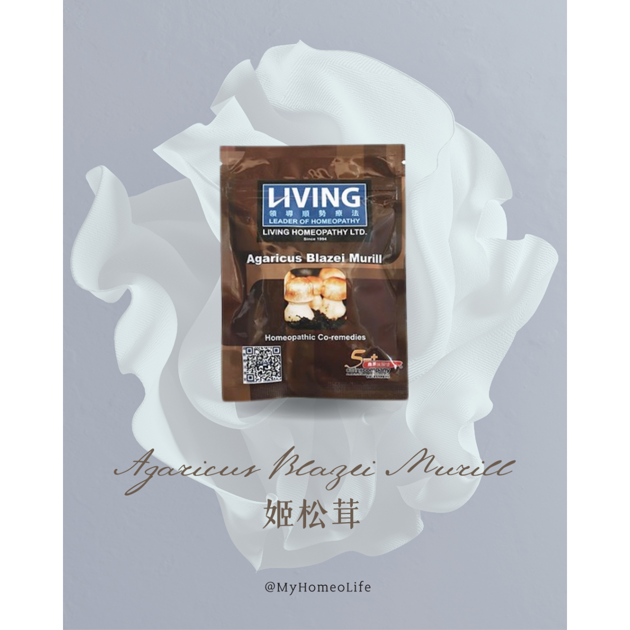 姬松茸 巴西蘑菇 抗癌