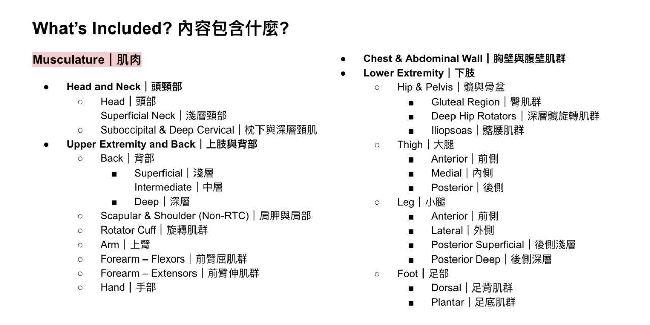 中英文解剖學筆記（骨骼＋肌肉, 400頁, 可下載）