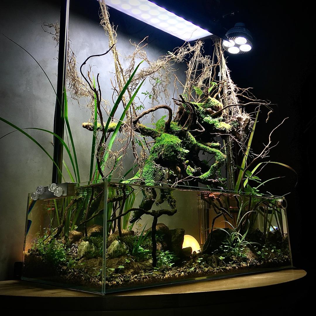 MeP Lab SOLD. For ref. (paludarium terrarium etc)