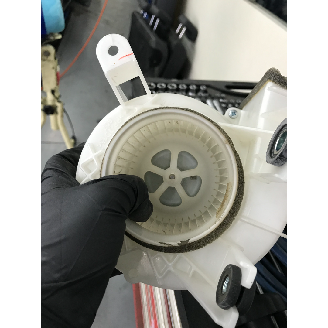 馳立國際