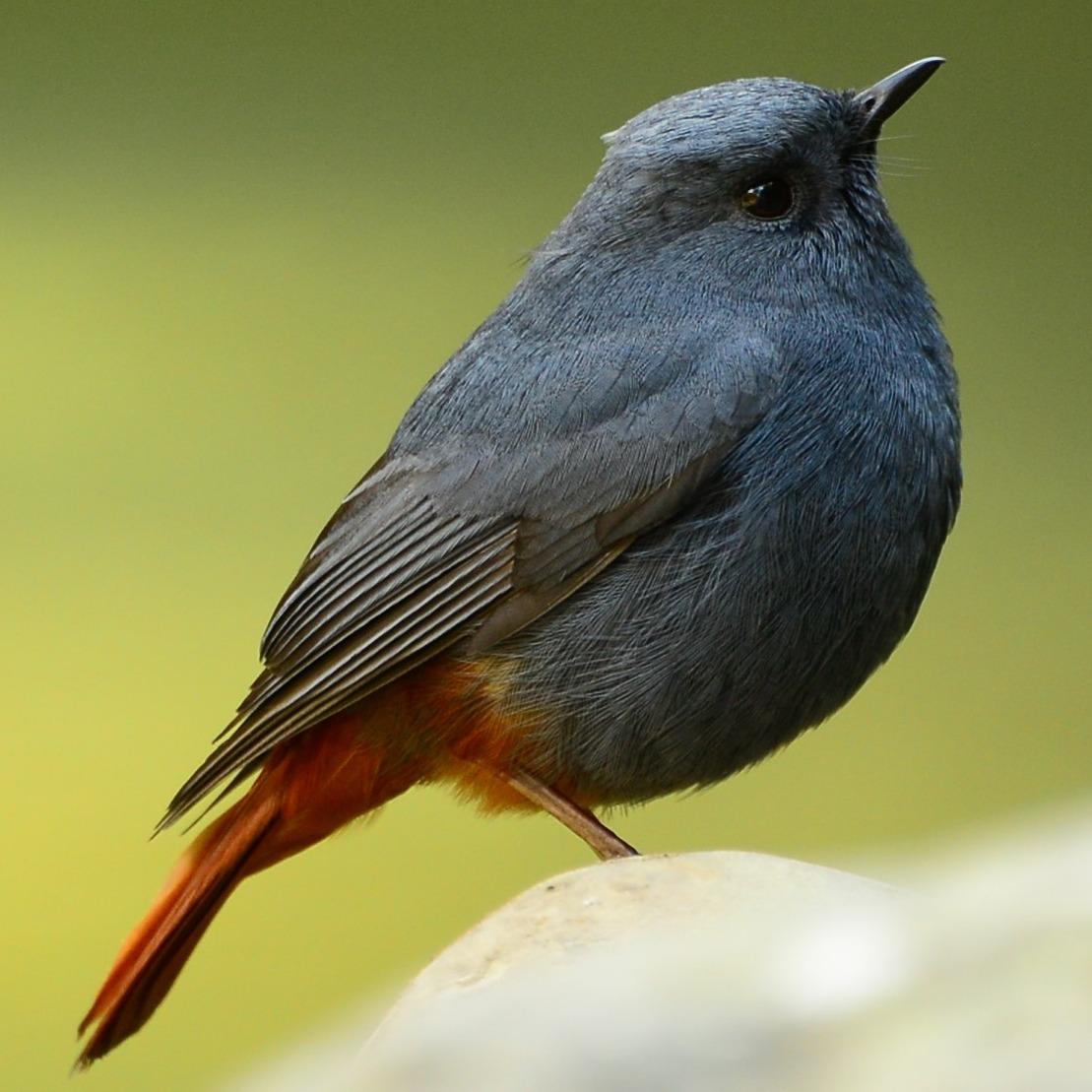 生活‧簡居‧生活