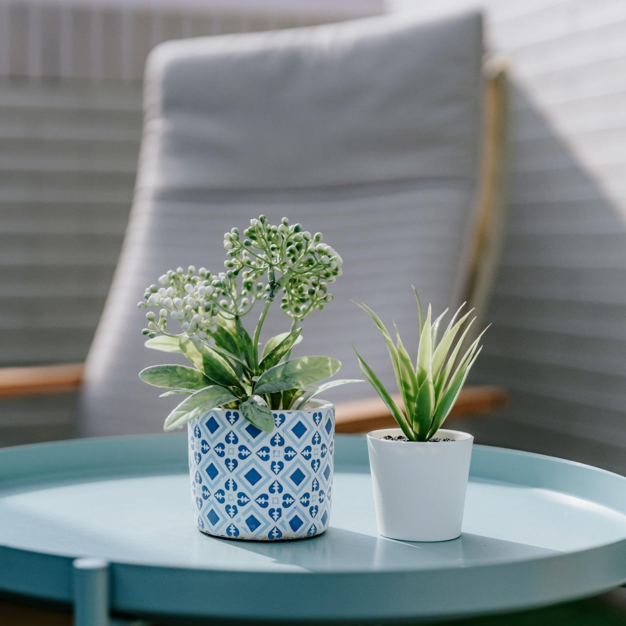 澎湖|蘿蔔民宿CarrotHostel