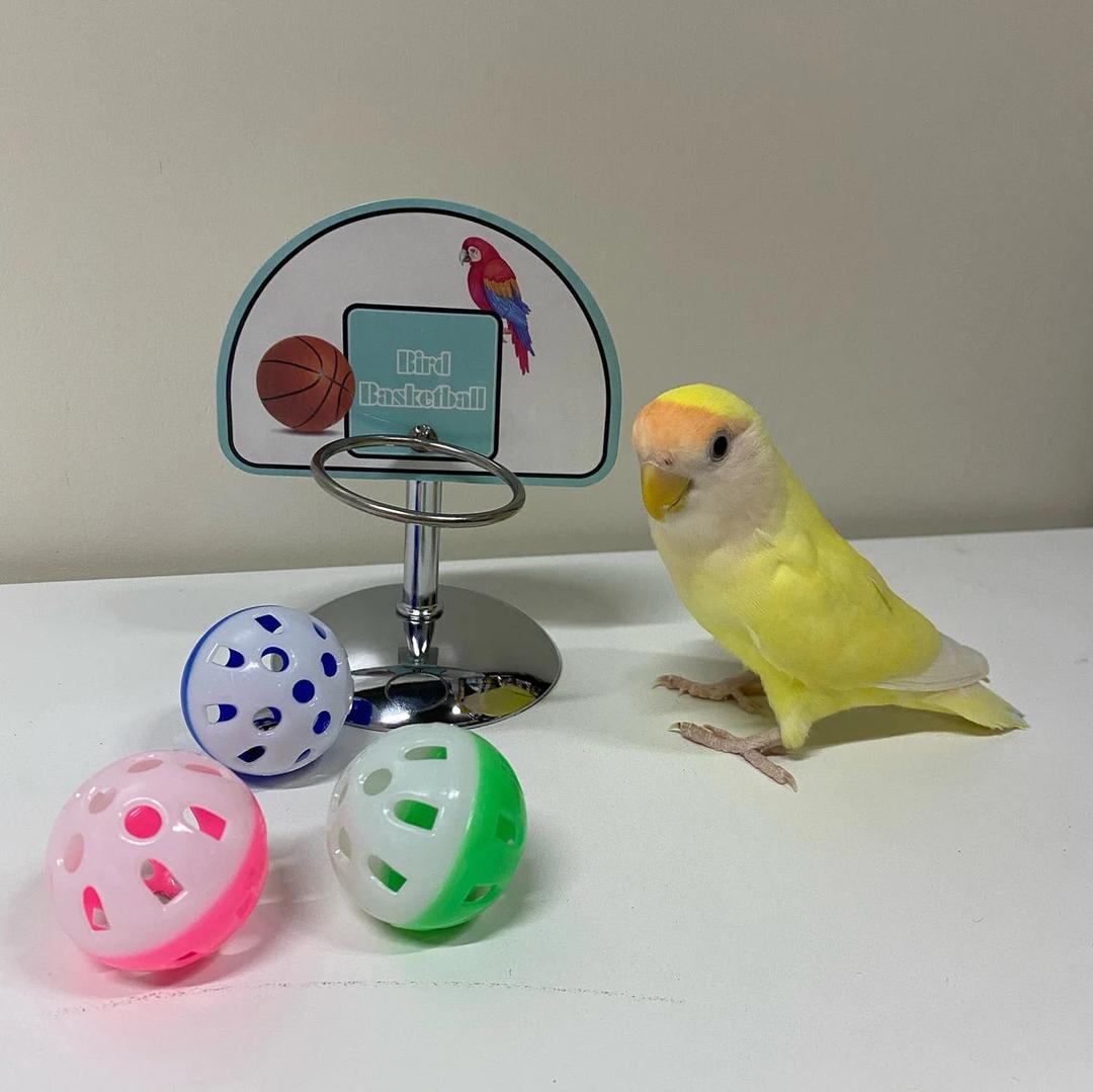 WinnieTheBirds Toy Shop 13cm Small Size Parrot Basketball Hoop with 3 Plastic Balls Bird Intel