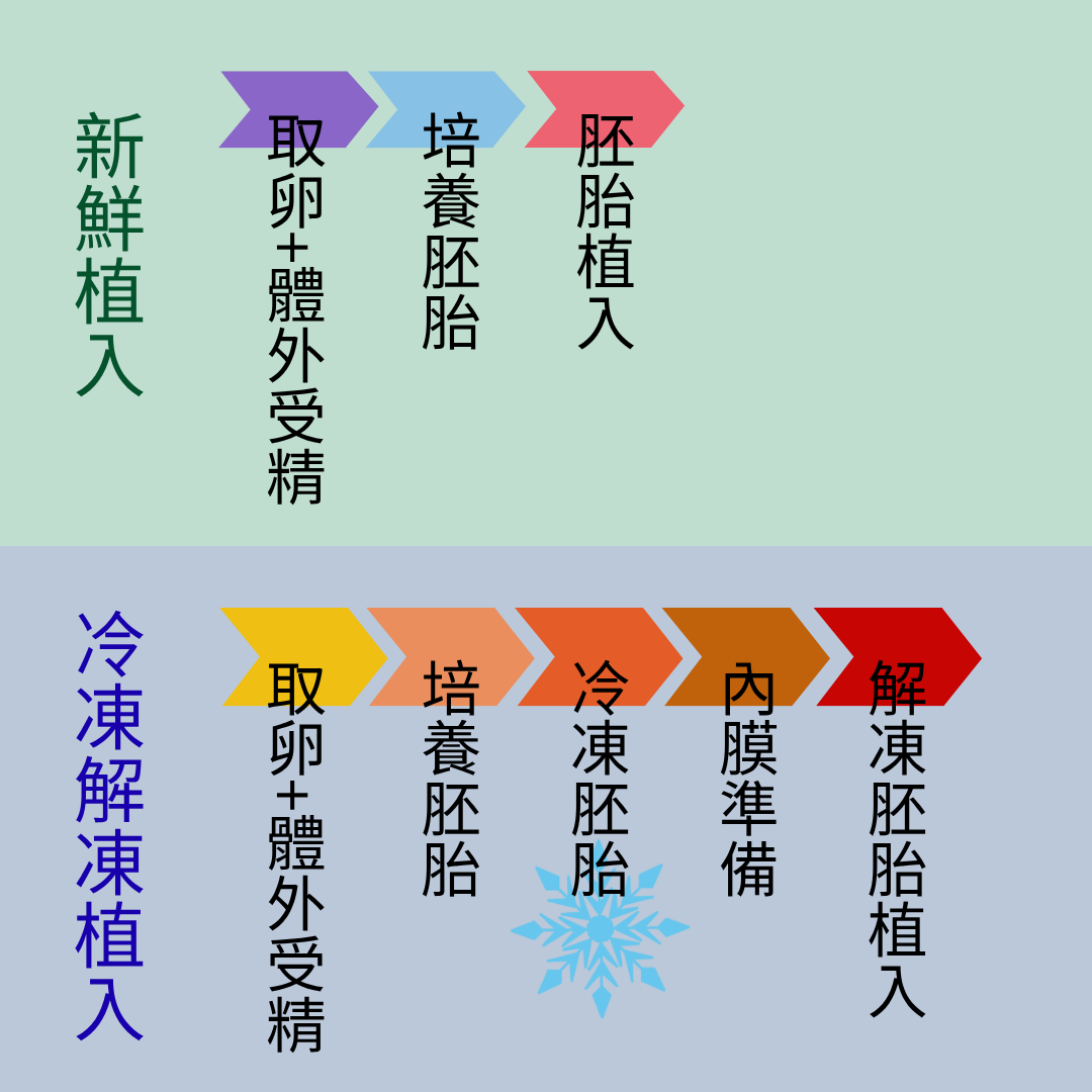 胚胎植入