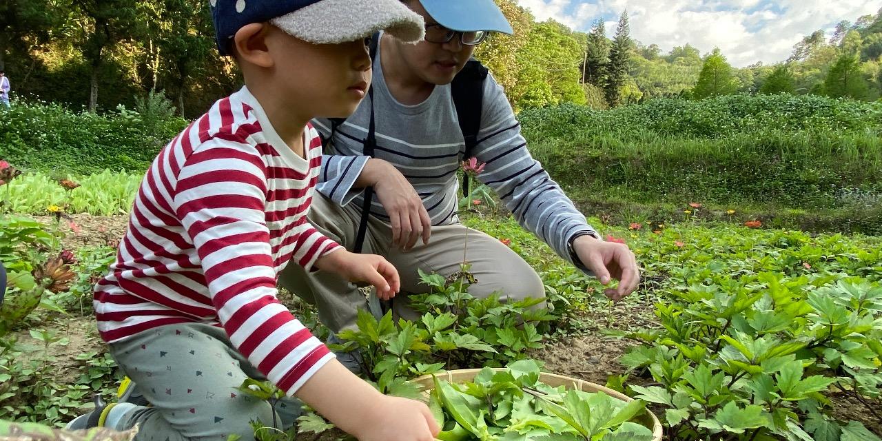 大地農場 農樂共享