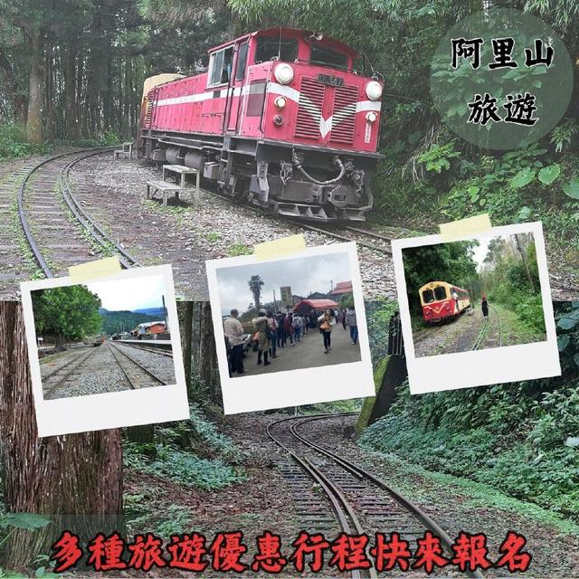 阿里山紅葉季｜秋冬限定風采