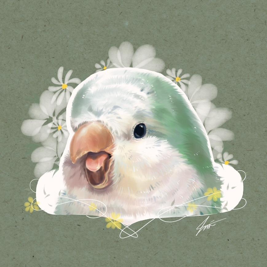 戴圍兜兜的貓 מּ ≋𝒞𝓵𝓪𝓾𝓭𝓲𝓪 𝓛𝓲𝓷 ৲ 4𝓶𝓾 ≋