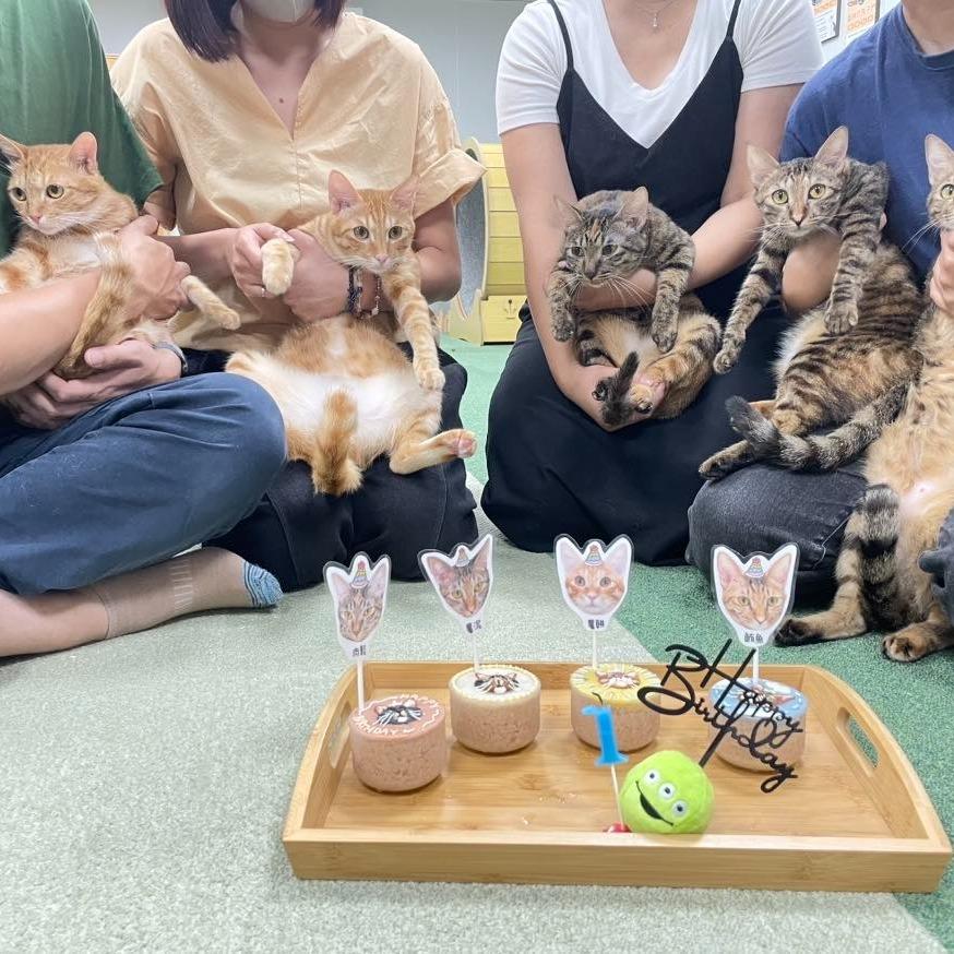 不怕毛孩看，才是好工廠😺🐶 SIGMA的蛋餅一家