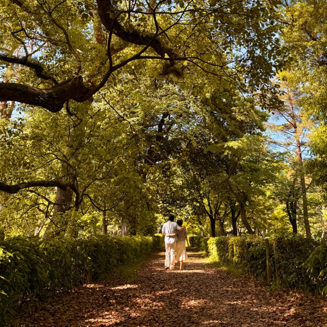 Gentle Talk 好好說話｜飛比 怎麼溝通、好好說話Phoebe、溝通、溝通諮詢