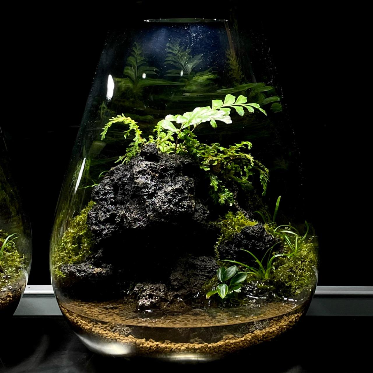 MeP Lab <<At the moment>> $1800