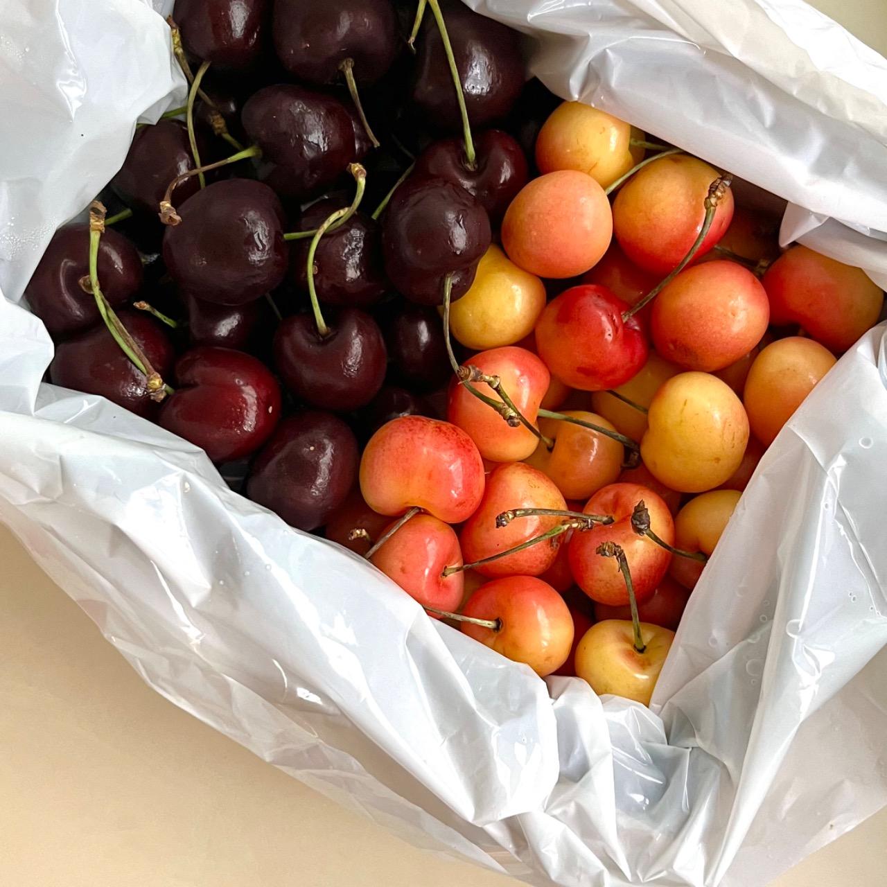 冬季快閃！超甜智利空運白櫻桃