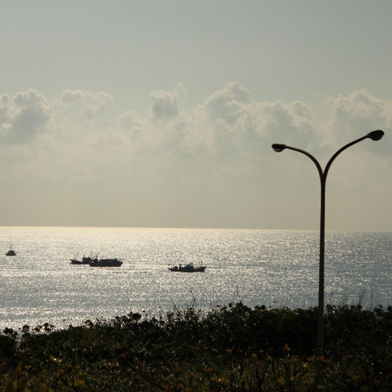 草海桐海景民宿 草海桐民宿