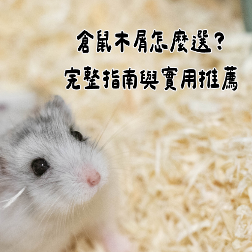 噗噗噠噠-PuBuTaDa-