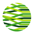 超越遊戲 Beyond Playmaking Global Designing Cities Initiative (GDCI, NACTO)