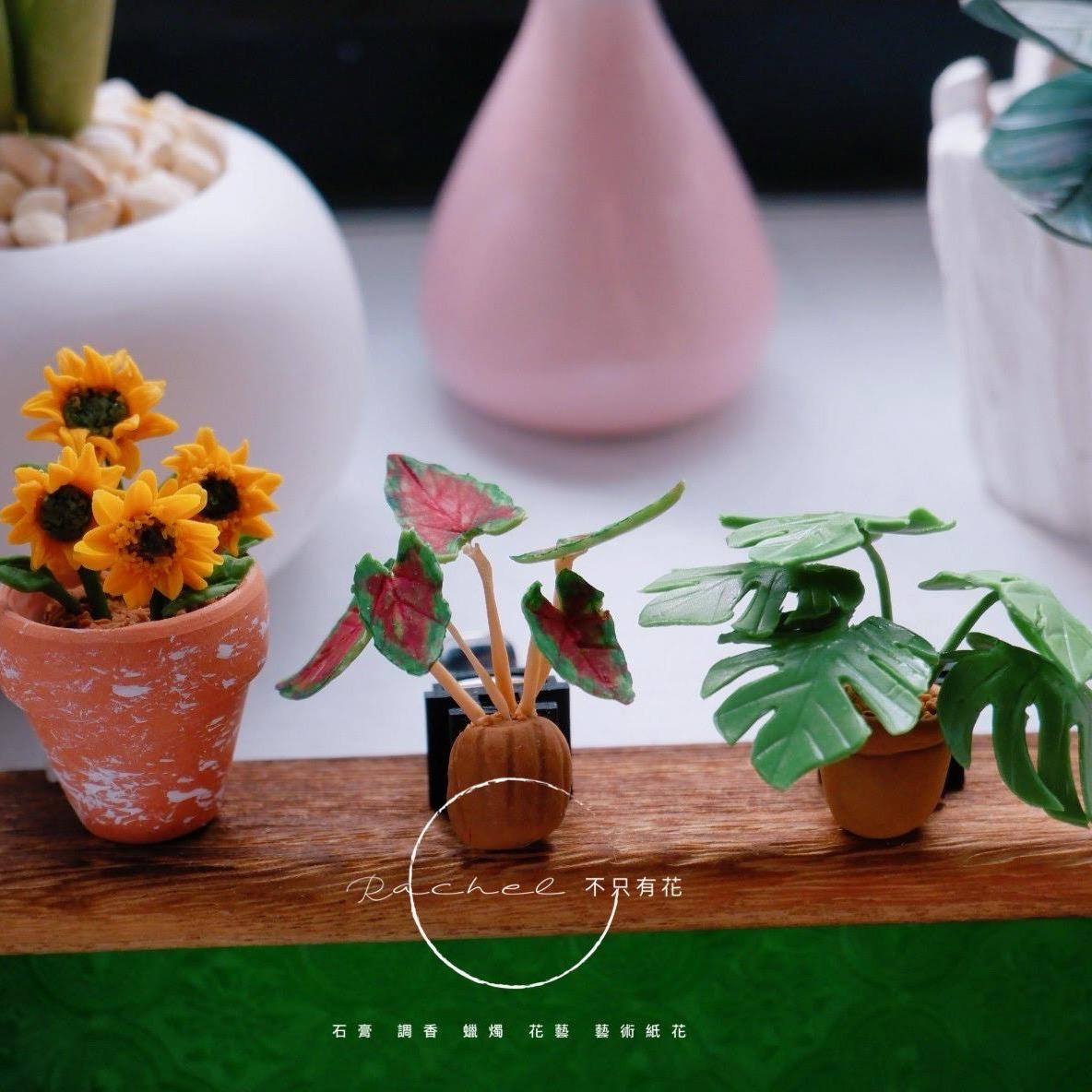 石膏花捏塑植物花卉汽車冷氣夾 擴香系列(可客製化)