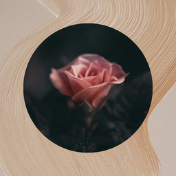 學習花療 - 花癒種子 Facebook