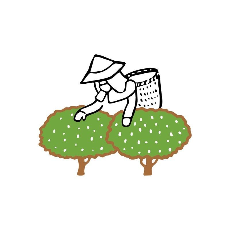 双樹茶飲 Tree Double