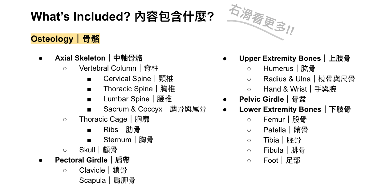 中英文解剖學筆記（骨骼＋肌肉, 400頁, 可下載）